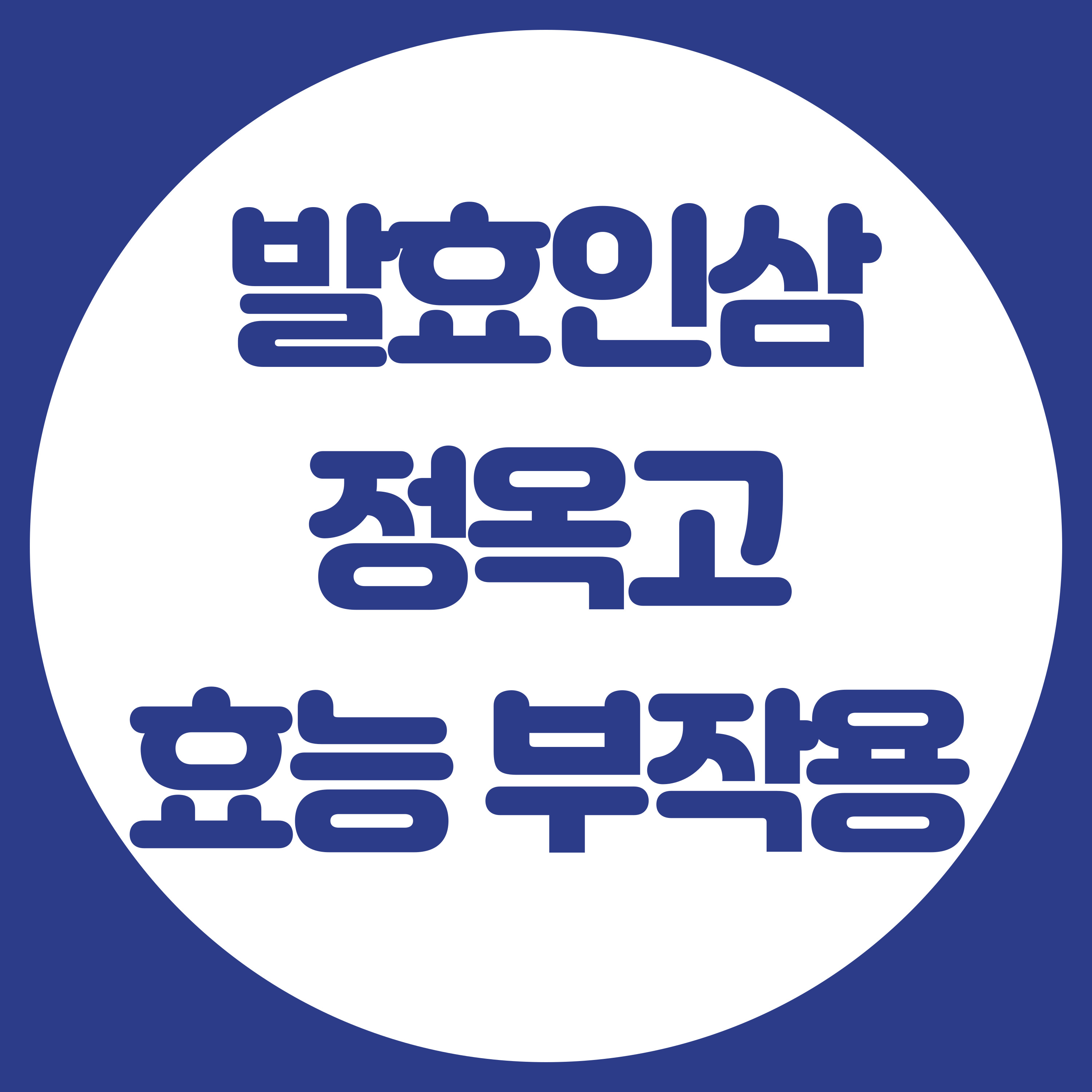 발효홍삼-정옥고