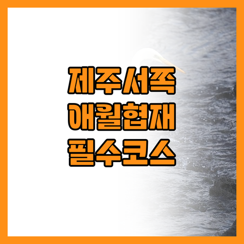 실패 없는 제주 서쪽 여행 애월 협재..