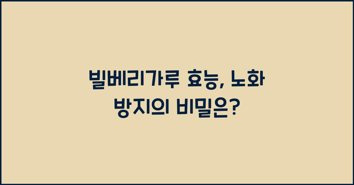 빌베리가루 효능