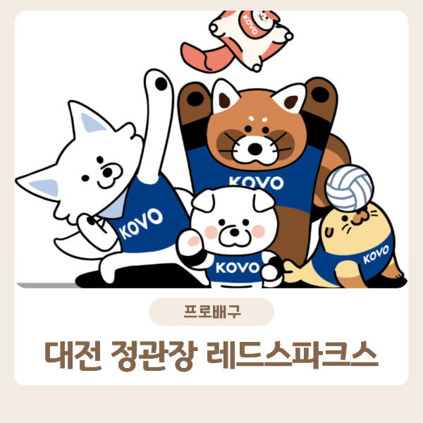 정관장 경기일정