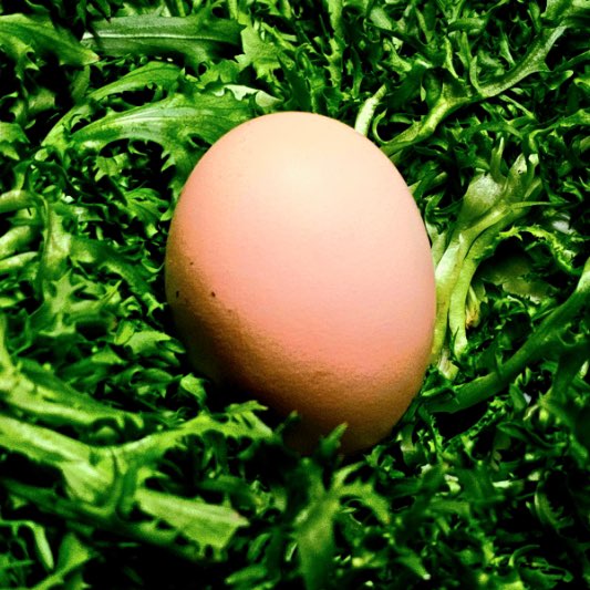 헷갈리는일반쓰레기