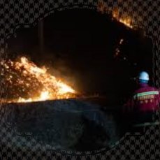 경북 산불 재난지원금 신청방법