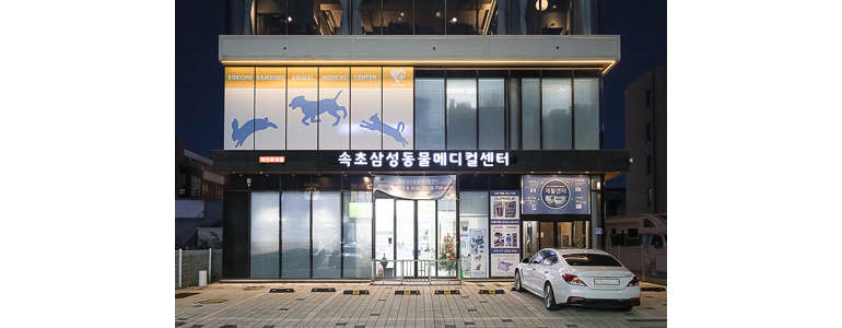 속초시 동물병원