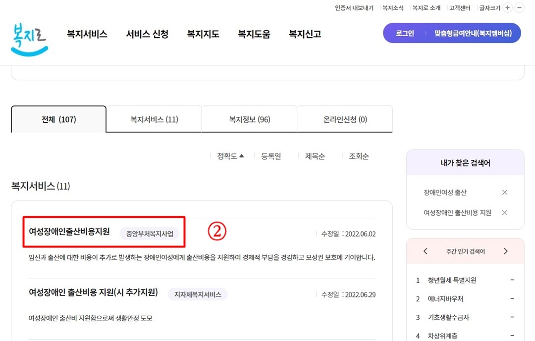복지로 사이트에서 1번 검색결과 화면 하단에 "여성장애인출산비용지원" 항목이 나타난 화면캡쳐 사진