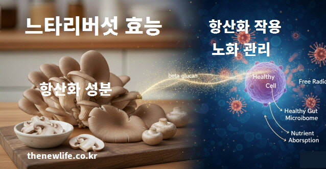 느타리버섯의 항산화 성분이 활성산소로부터 건강한 세포를 보호하고 노화 방지를 돕는 효능을 설명하는 이미지