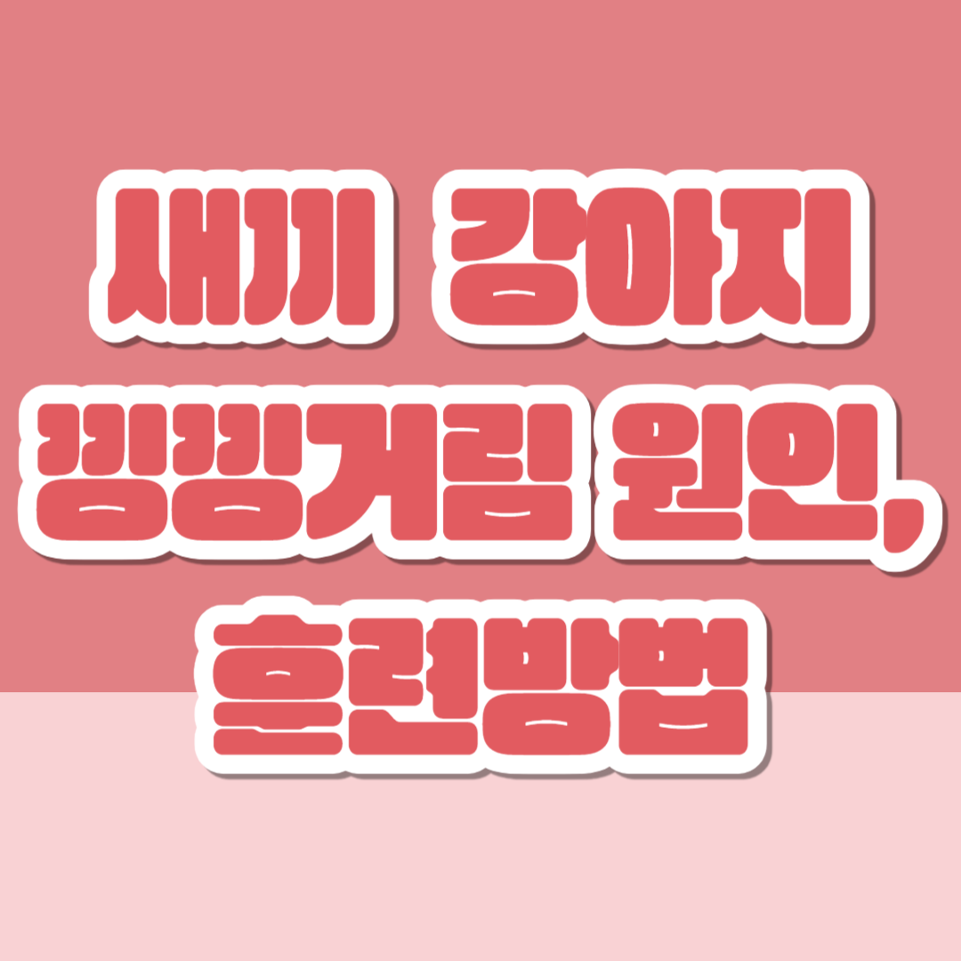 강아지 새끼 낑낑거림 원인, 훈련방법