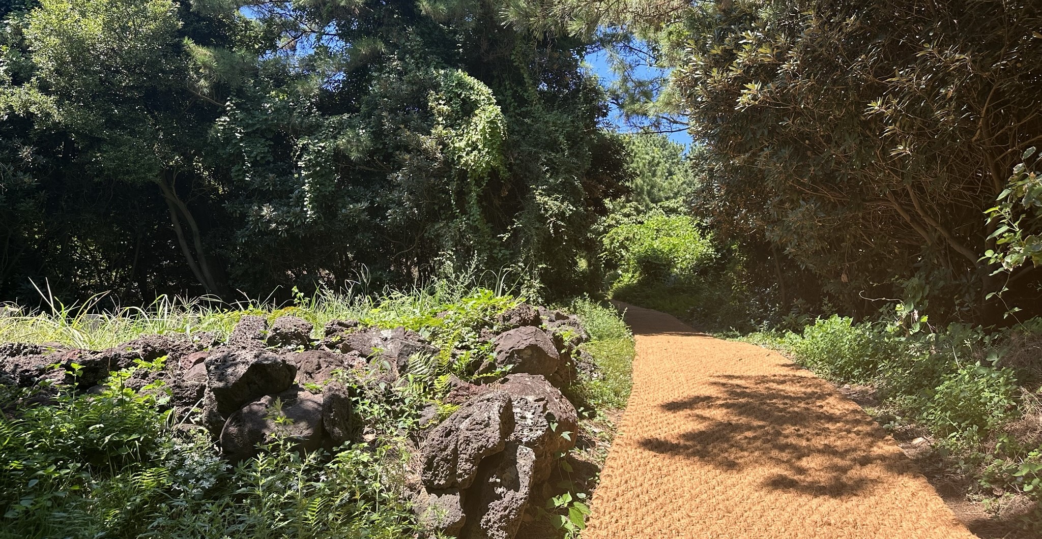 산책로