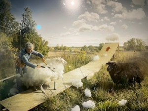 에릭 요한슨 작품