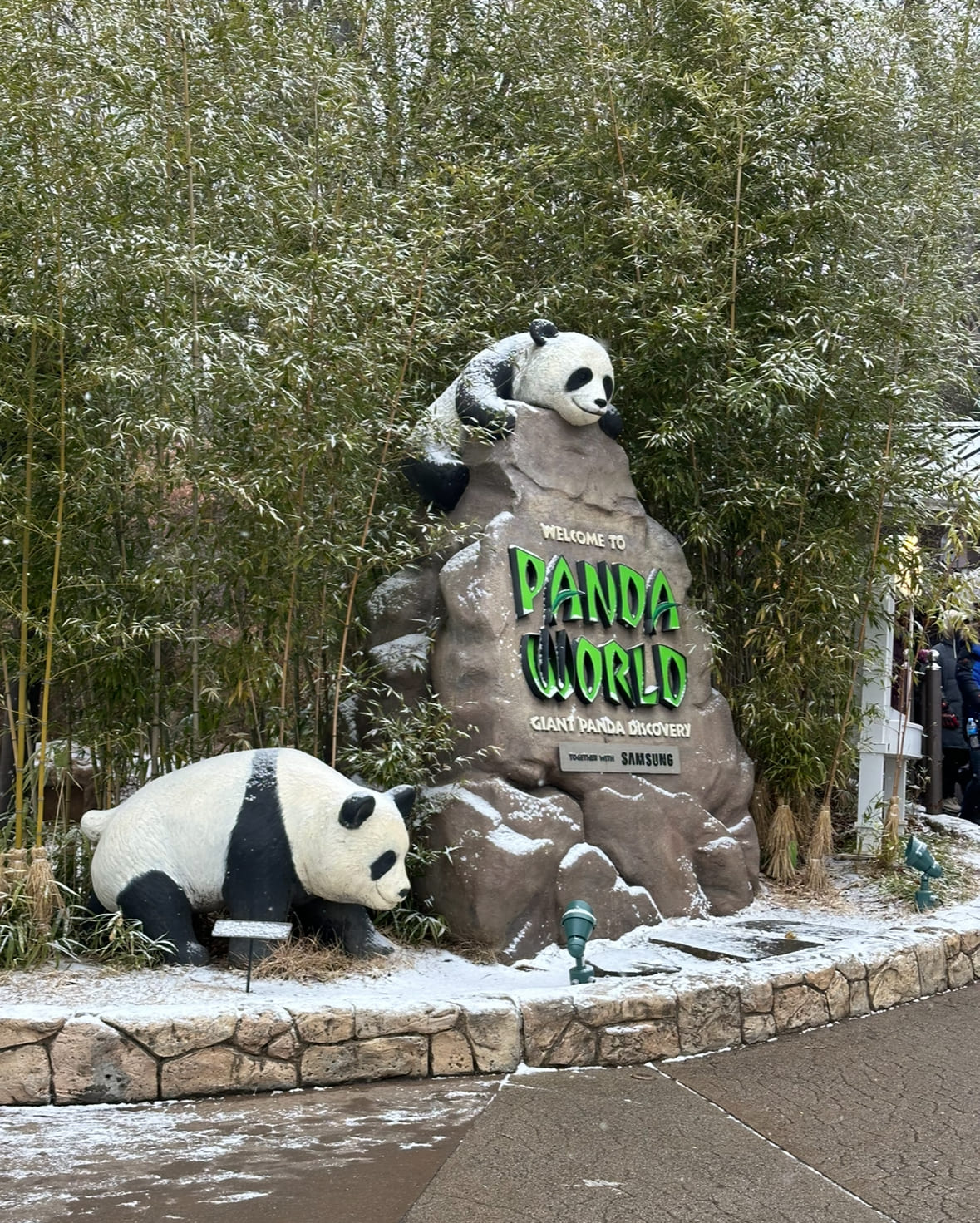 에버랜드 판다월드 할인 예약