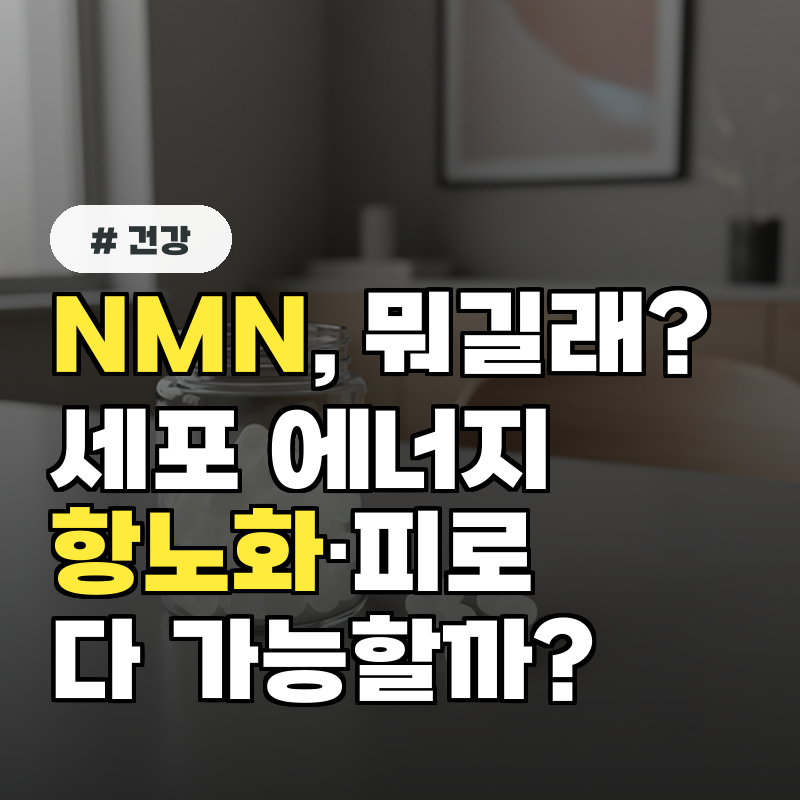 NMN이 뭐지 엔엠엔이 세포 에너지·항노화·피로 개선까지