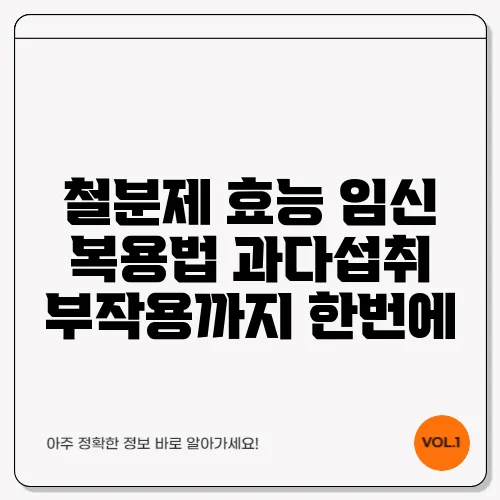 철분제 효능 임신 복용법 과다섭취 부작용까지 한번에