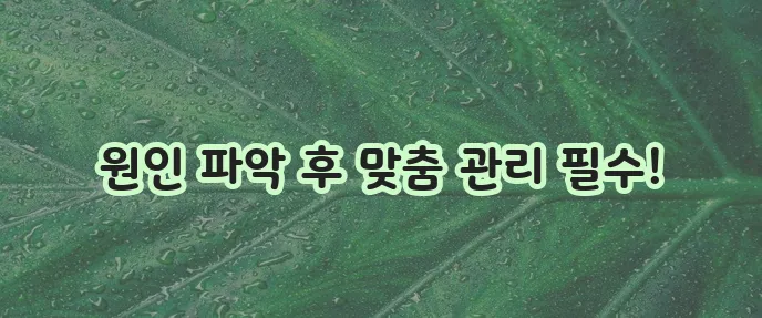 등드름 없애는 법과 원인 확실히 알아봐야죠!