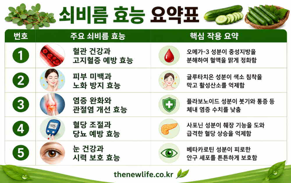 쇠비름 효능 요약표
