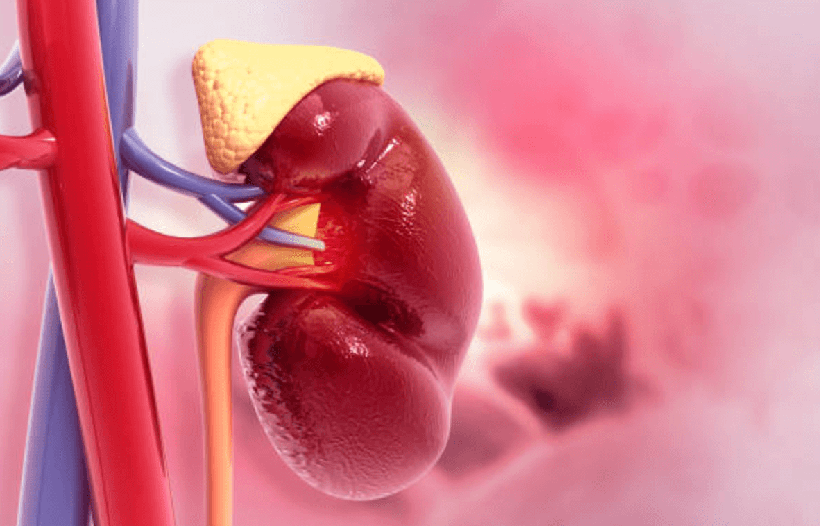 부신피질호르몬제 부작용