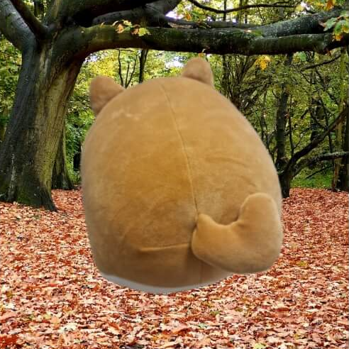 갤럭시 누끼따기