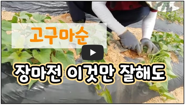 농부 유튜버 순위 TOP 10 9