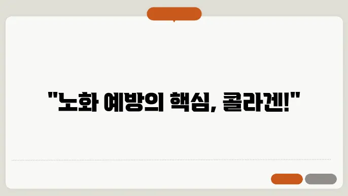 콜라겐의 종류