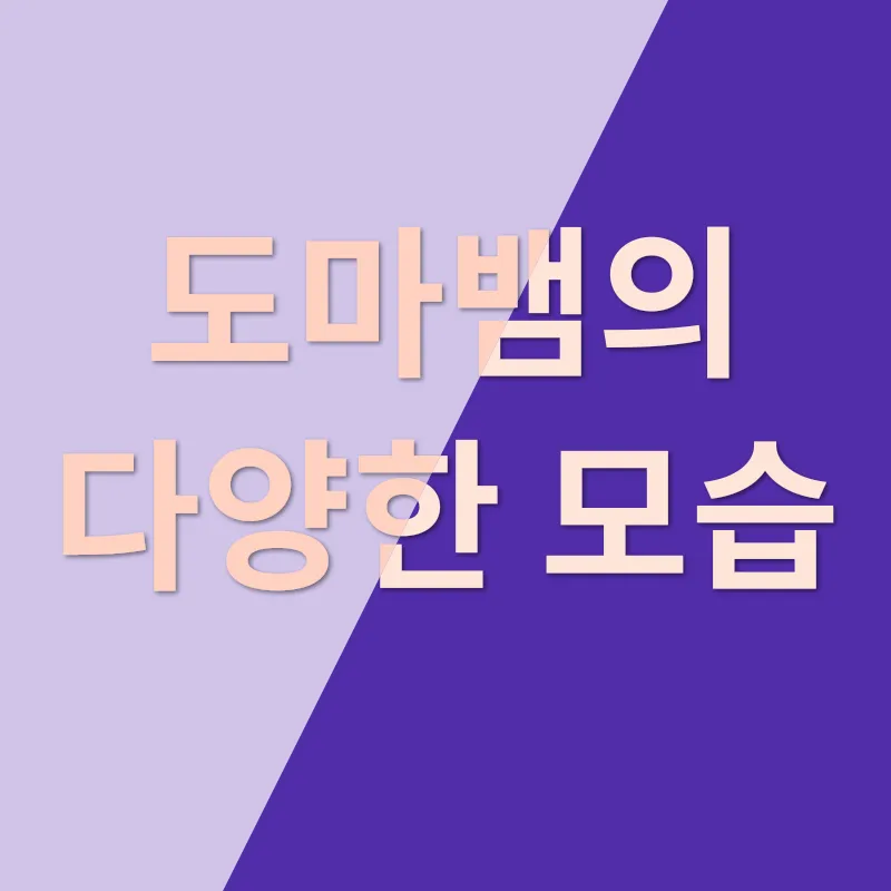 키우는 동물로서의 도마뱀_2_subsection