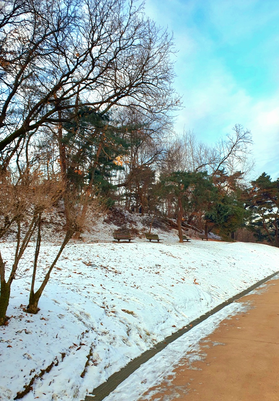 봄에-다시-찾아올겁니다.