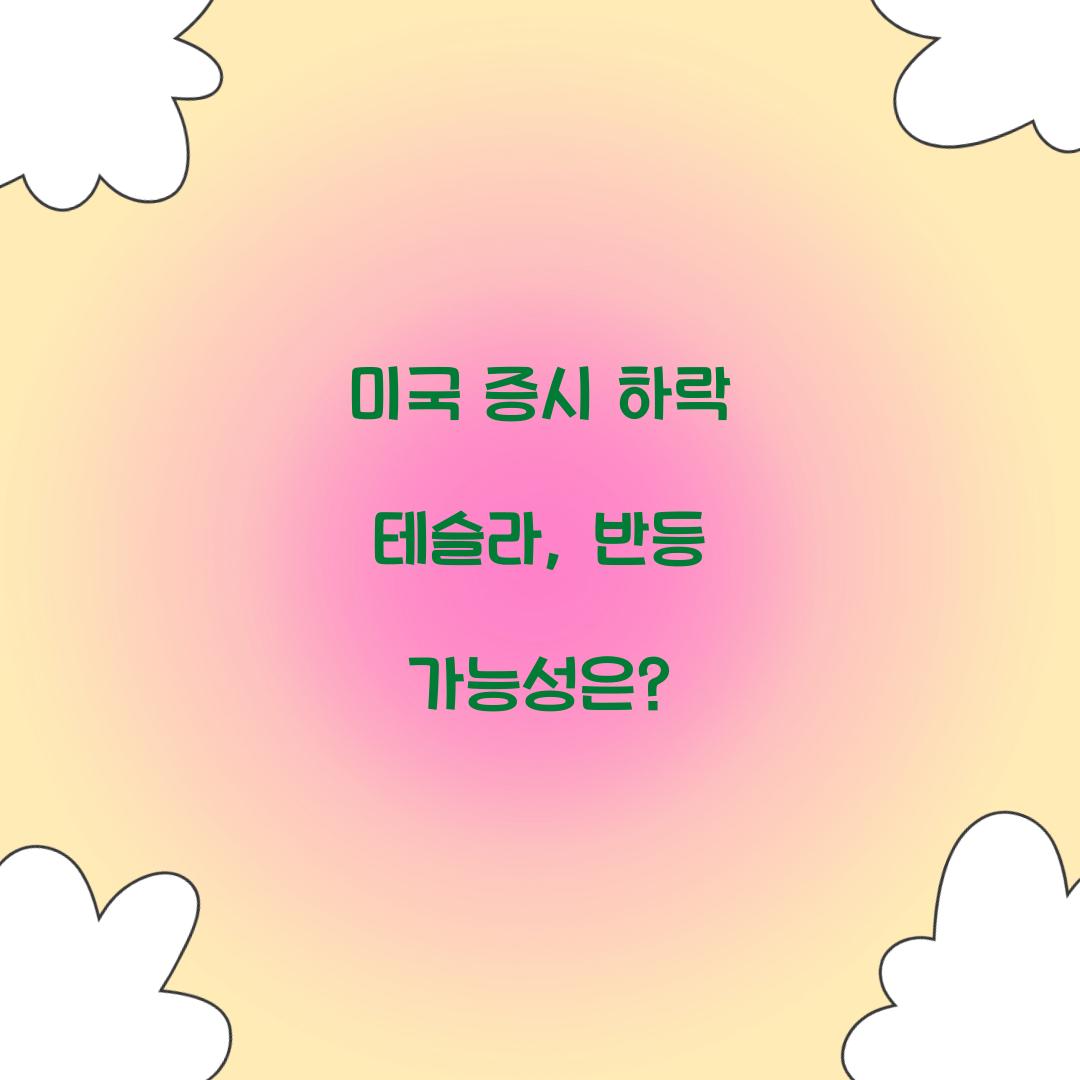 미국 증시 하락 테슬라