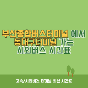 부산종합버스터미널에서 동대구터미널 가는 시외버스 시간표 최신정보