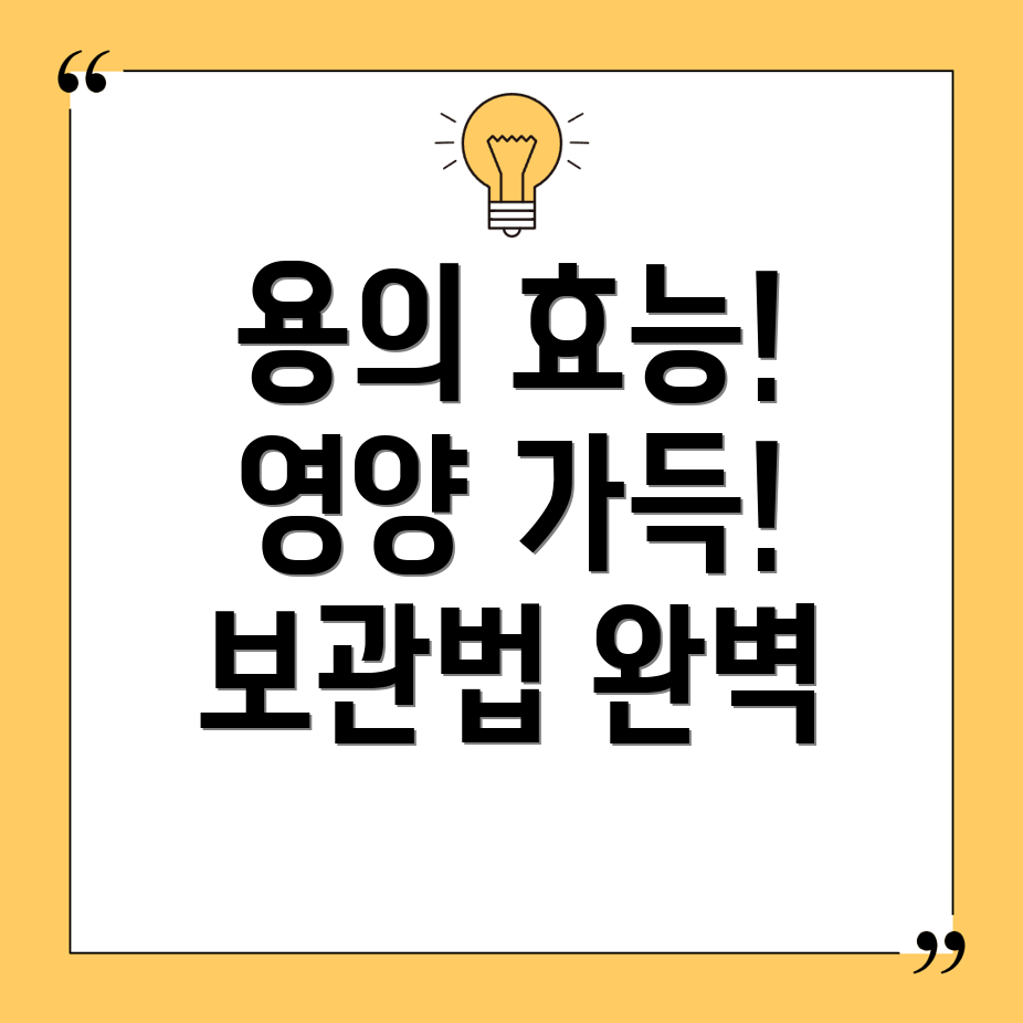 용과