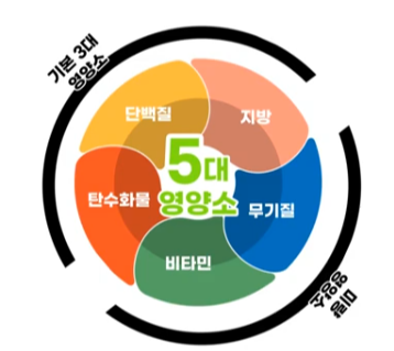 무기질의 기능 및 효과