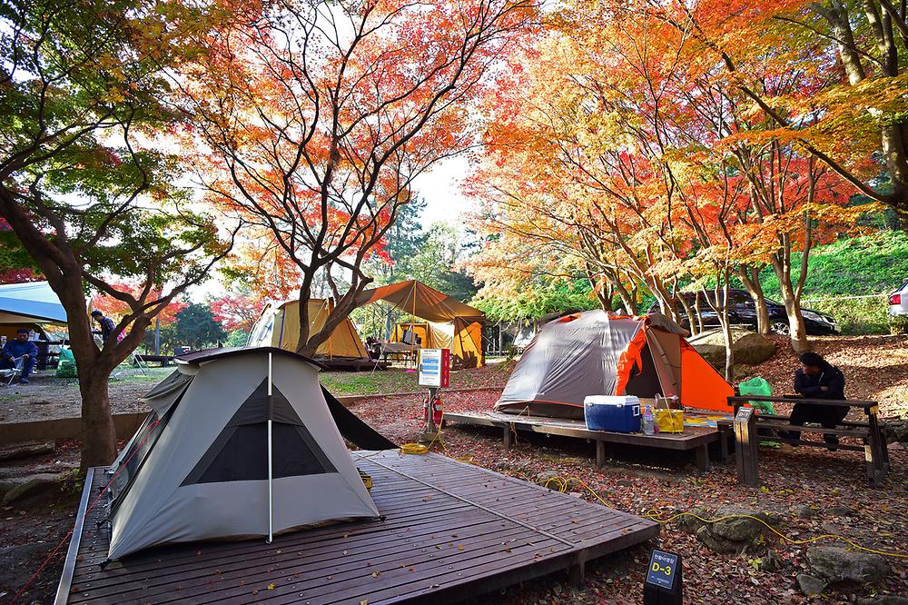 월출산국립공원 천황야영장

전라남도 영암군 영암읍 천황사로 280-73