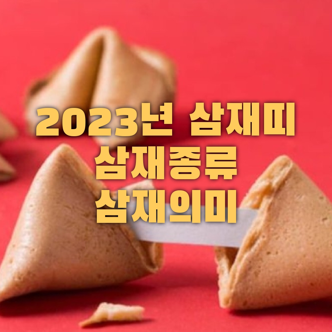 2023년 삼재띠 알아보세요