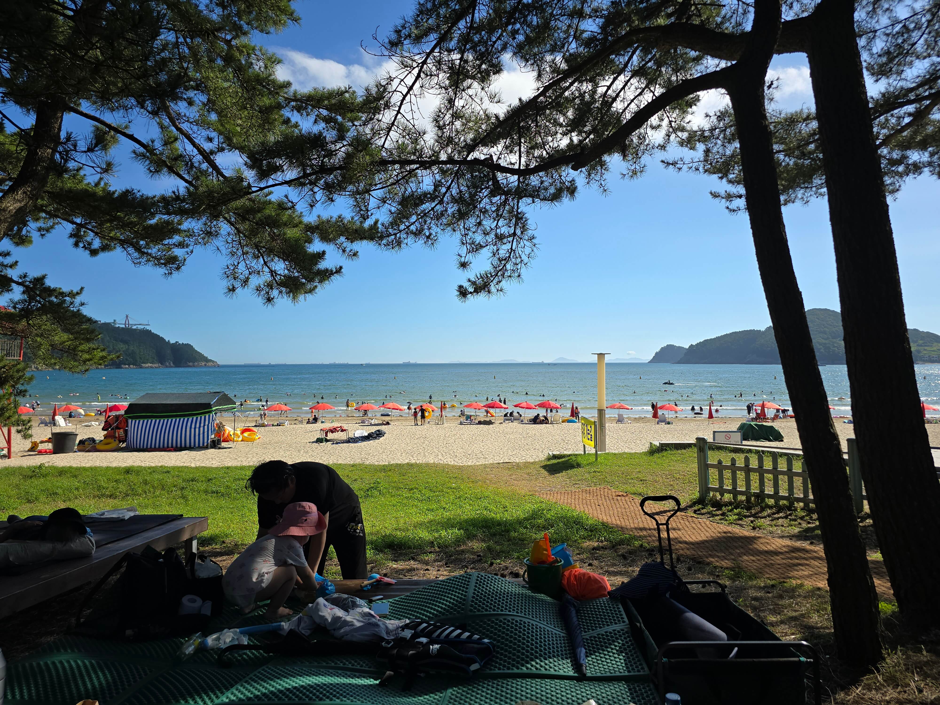 남해 송정솔바람해수욕장 소나무 그늘