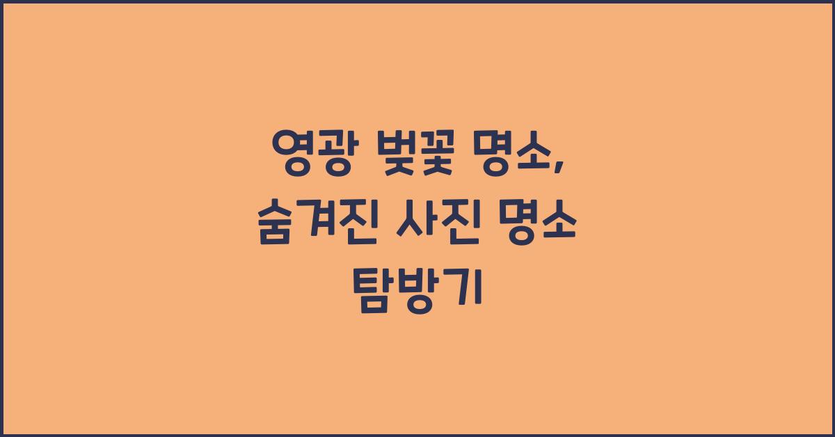 영광 벚꽃 명소