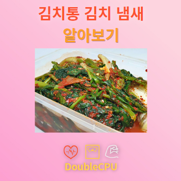 김치통 김치 냄새 알아보기