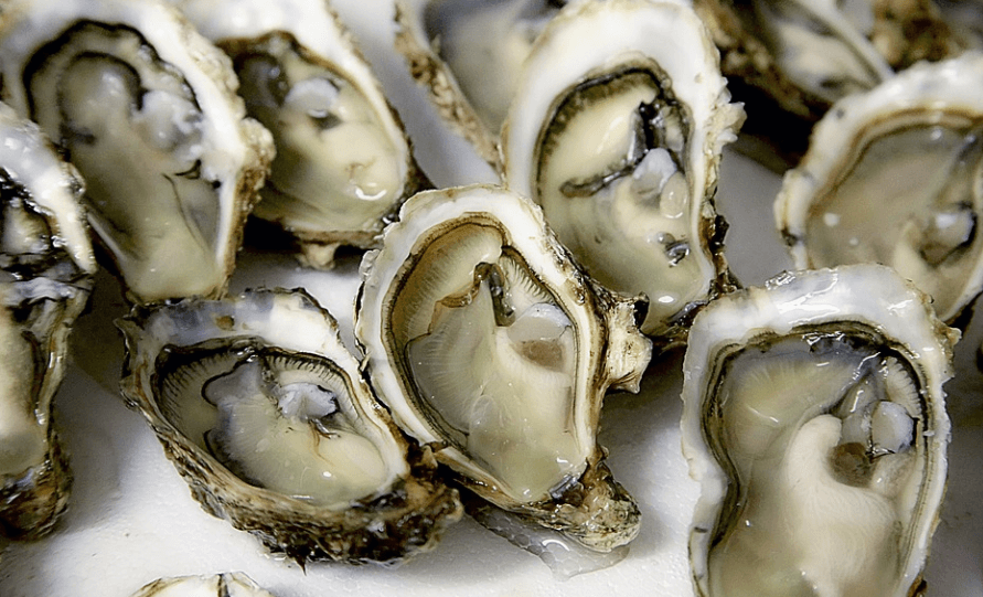 12월 제철 음식 굴