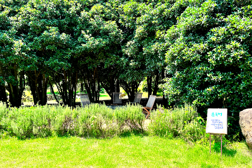 특색있고 아름다운 민간 정원 30선 추천 여행 - 30. 구례 천개의 향나무숲 정원