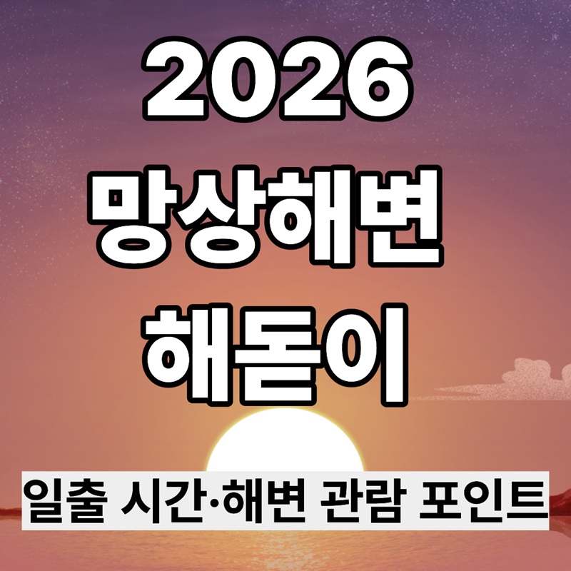 2026 새해 해돋이 망상해변|일출 시간·해변 관람 포인트