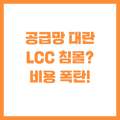 공급망 대란과 비용 상승 LCC 모델..