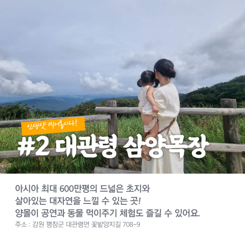 대관령 삼양목장