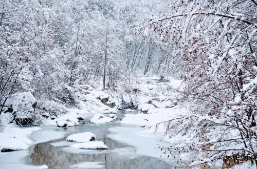 한국의 알프스라 불리는 평창의 겨울 설경