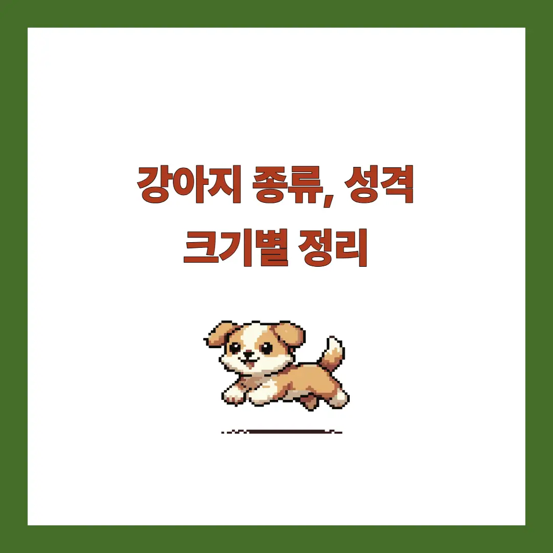 강아지 종류