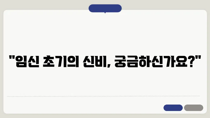 임신 초기증상 및 주수 계산과 안정기 알아보기