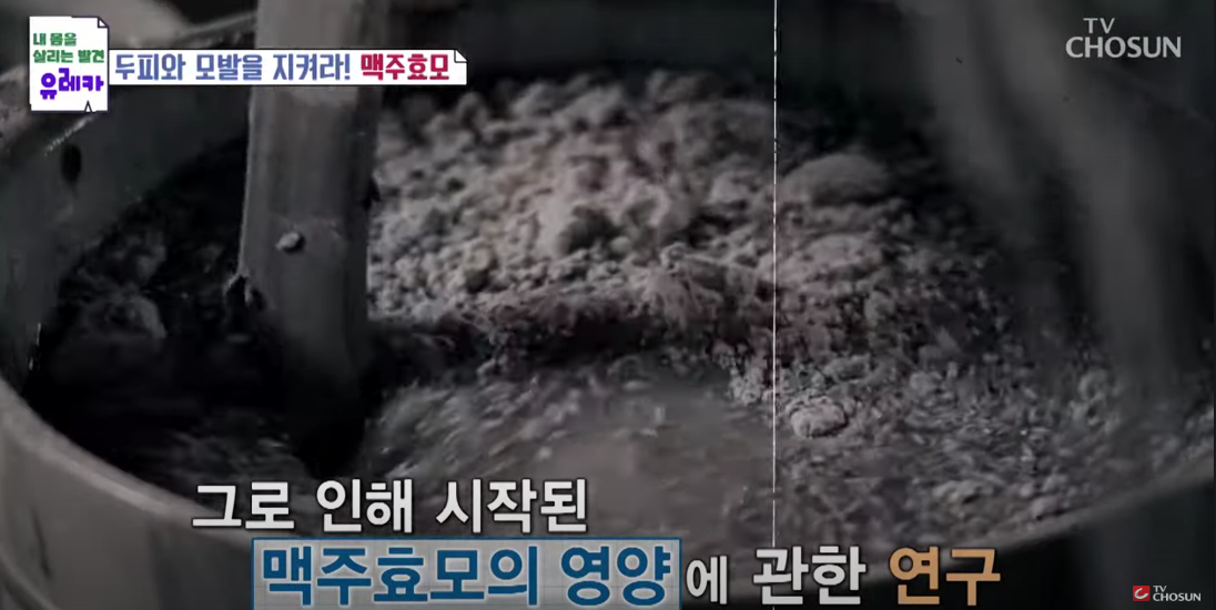 탈모 예방에 효과적인 맥주효모: 효능&amp;#44; 섭취 방법&amp;#44; 그리고 주의 사항