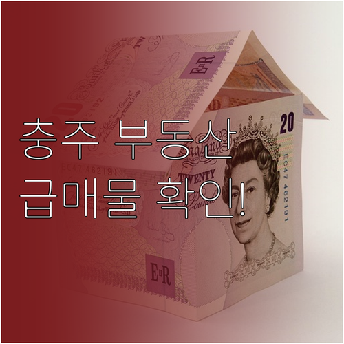 충주 교차로 부동산 신규 매물 확인 ..
