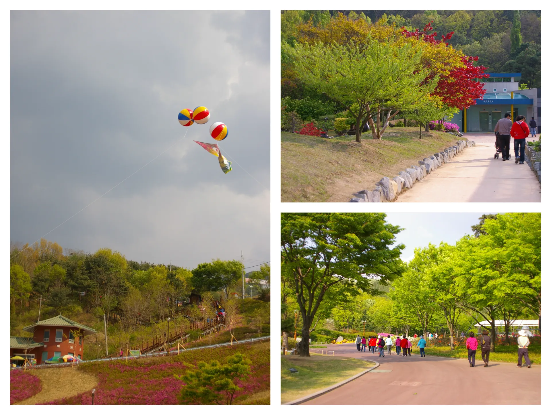 봄 대구 달성 비슬산