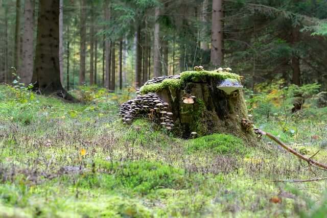 11월 인사말 모음 10가지 (좋은글귀, 짧은글귀)