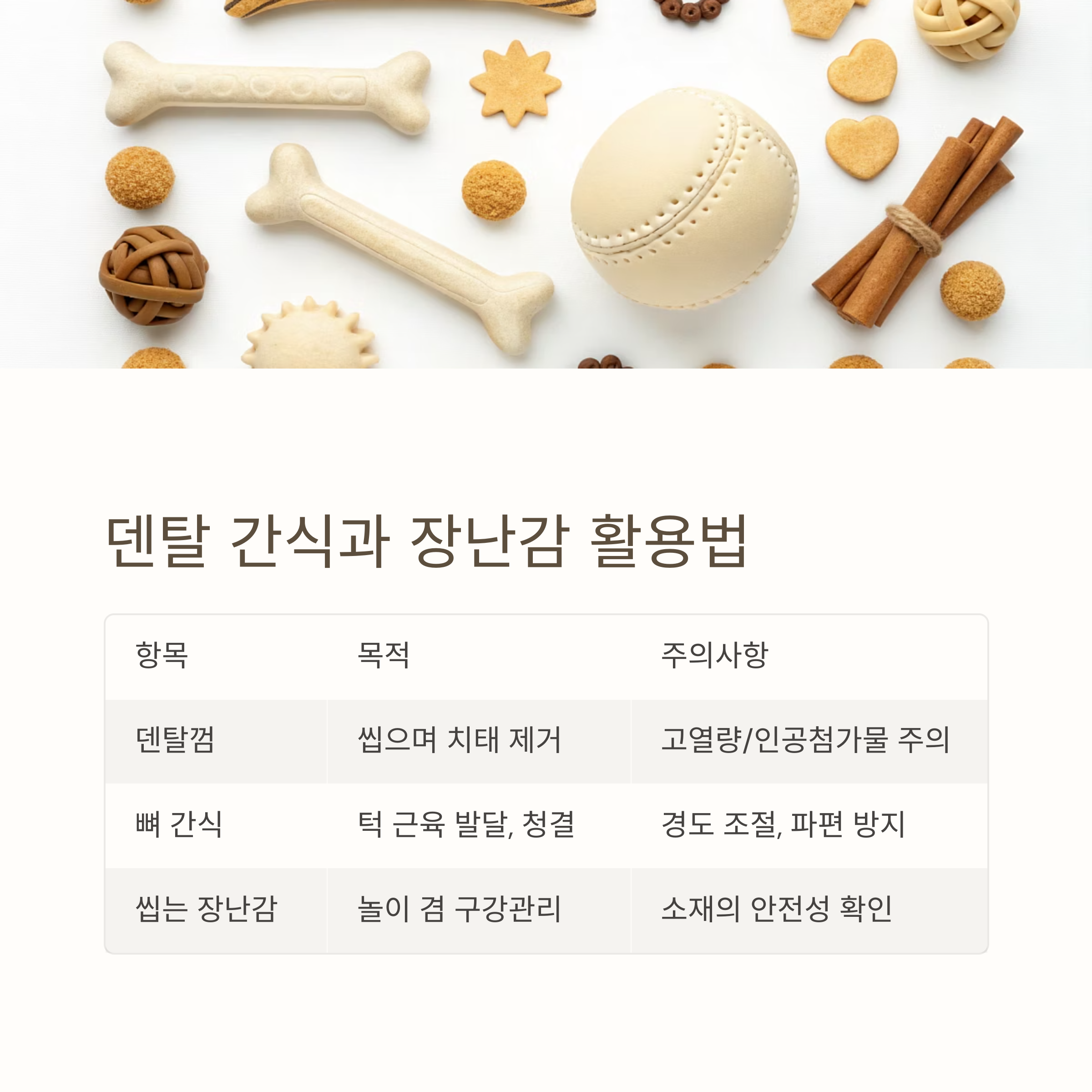 덴탈 간식과 장난감 활용법