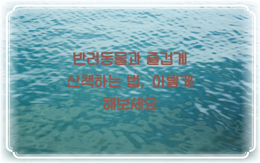 반려동물과 즐겁게 산책하는 법