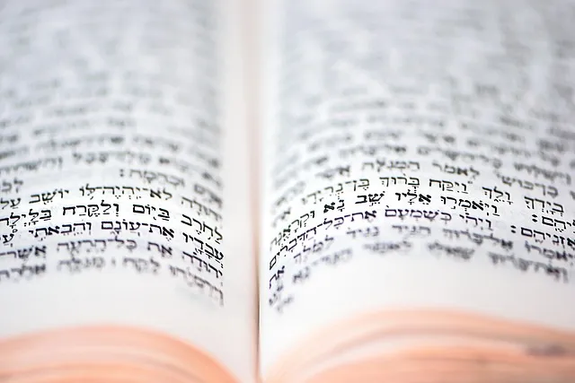 히브리서 11장 해석 읽기 믿음에 관하여_9