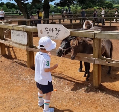 말 먹이 주기 체험
