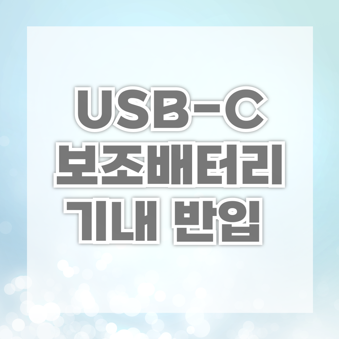 USB-C 보조배터리 기내 반입