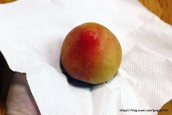 자두 보관법 수확시기 효능 자두청 만들기_10